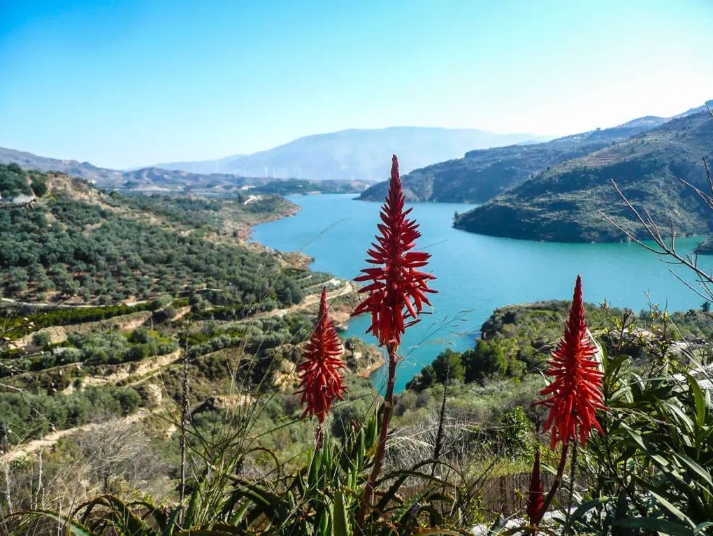 Una ruta con olor a azahar por el Valle de la Alegría de Granada