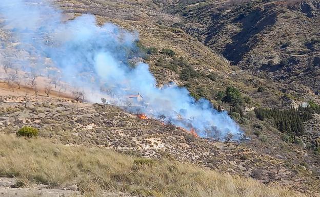 Dan por controlado el incendio forestal en Lecrín