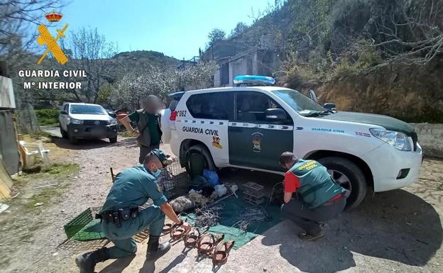 La Guardia Civil detiene e investiga a más de un centenar de personas por delitos contra la naturaleza en 2021