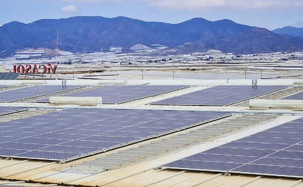 El sector agro reduce costes con energía fotovoltaica en cultivos y empresas