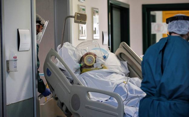 Almería lamenta diez nuevos fallecimientos asociados a la covid en una jornada con 480 contagiados