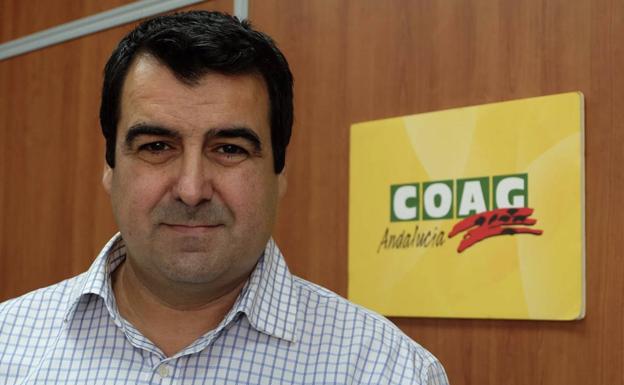 Andrés Góngora continuará al frente del sector de frutas y hortalizas en Coag
