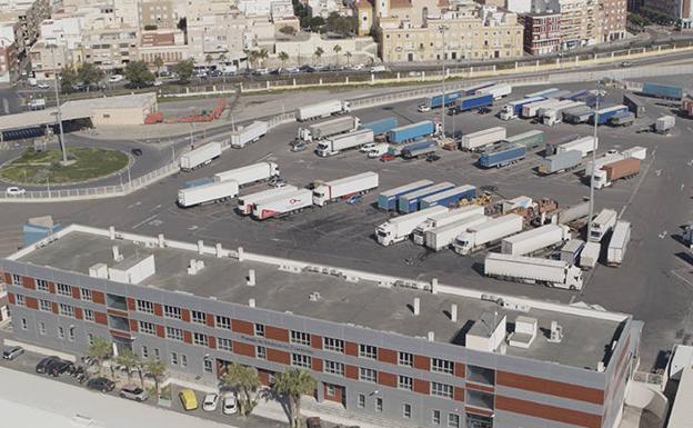 El 5% de las hortalizas de terceros países que llegan a Europa lo hacen a través de empresas almerienses