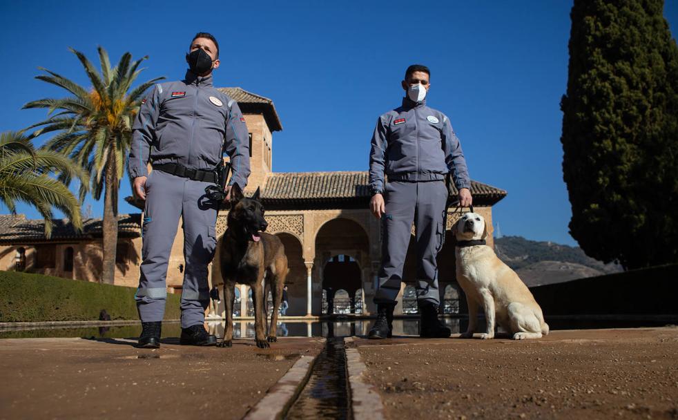 La 'patrulla canina' de la Alhambra