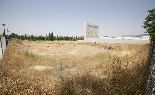 Sebastián Pérez pide a los grupos «unidad» para ejecutar un nuevo espacio escénico junto al Museo CajaGranada