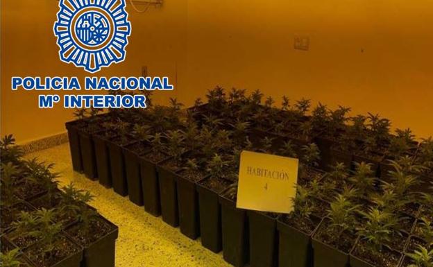 Descubren una casa de Granada con cinco habitaciones llenas de marihuana