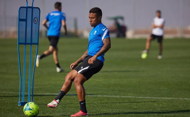 Una semana para comprobar si hay 'indulto' a Darwin Machís