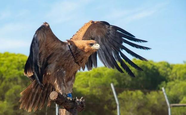 Naturaleza y títeres para los más pequeños durante el puente de Andalucía en Granada