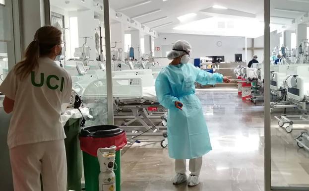 Los contagios se duplican en 24 horas y se registran siete muertes más por la covid