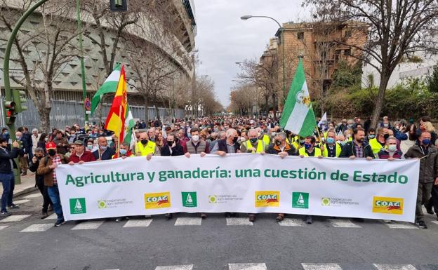 «Basta ya»: El campo exige medidas políticas y fiscales al Gobierno para frenar la crisis de precios que asfixia a agricultores y ganaderos