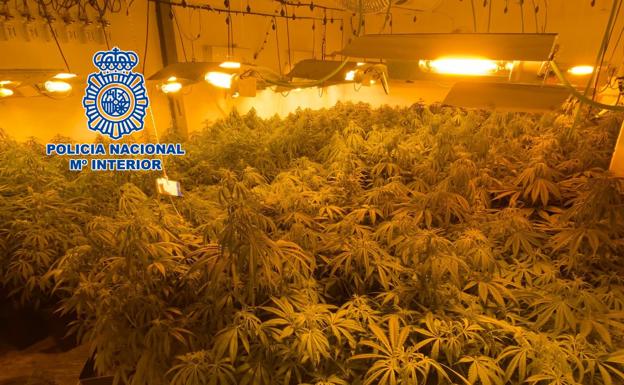 Tres operaciones antidroga de la Policía Nacional se saldan con siete detenidos en Linares