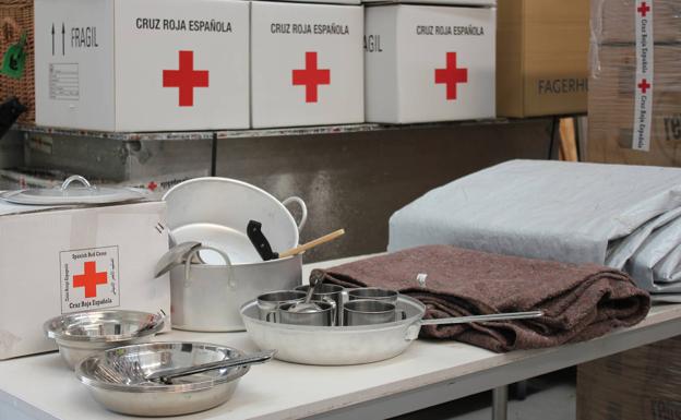 Oleada de solidaridad con Ucrania en el mar de olivos