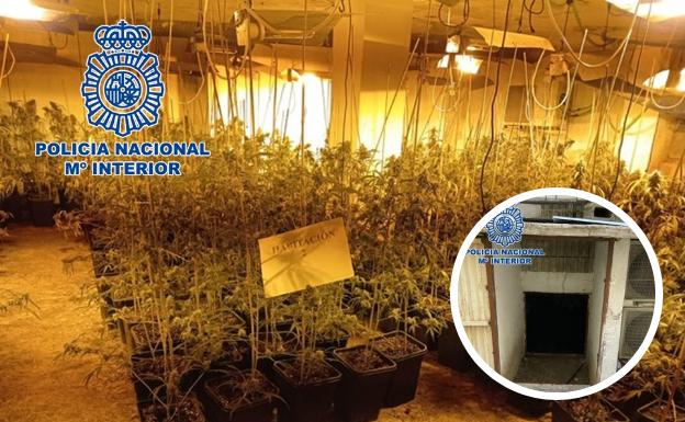 Inspeccionan 37 viviendas en Almanjáyar y el 100% tenían enganches ilegales con 1.500 plantas de maría