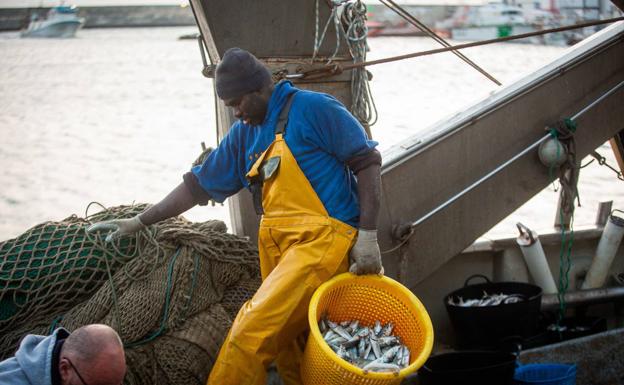 La subida del gasoil obligará a los pescadores de Motril a amarrar la flota