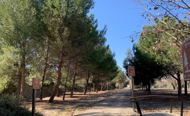 Multa de mil euros por ir en un ciclomotor por la Vía Verde del Aceite en Martos