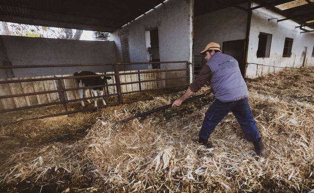 El paro de los transportistas bloquea la industria láctea granadina