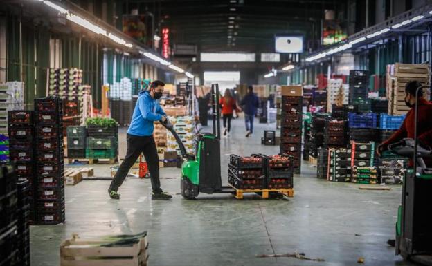 Pescaderías desabastecidas en Granada mientras la policía devuelve la normalidad a Mercagranada