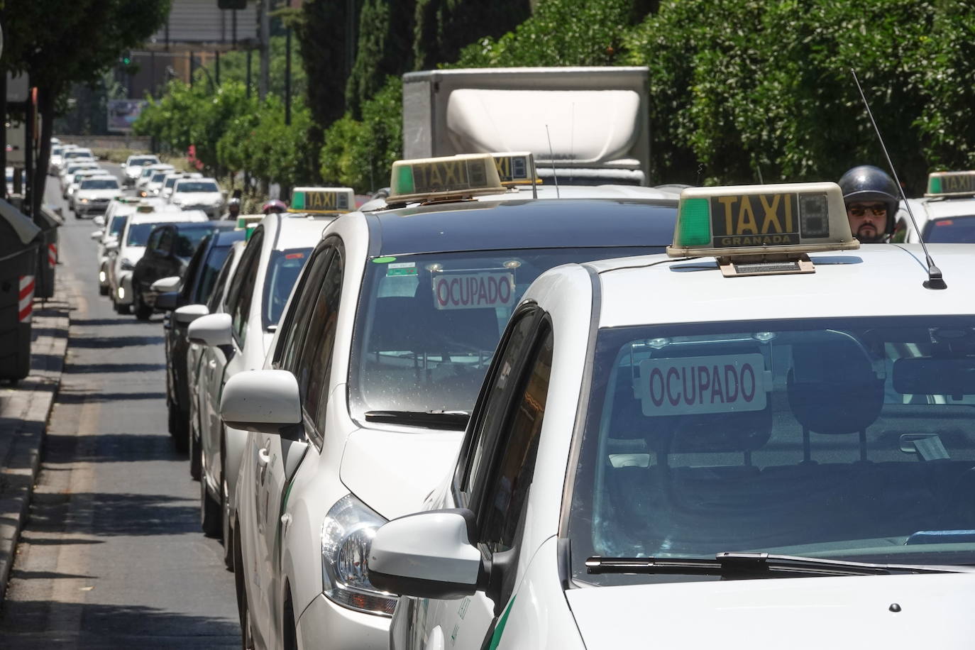 Taxistas independientes de Granada secundan el parón de los transportistas