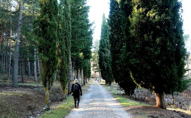 Una excursión con los más pequeños de la casa para celebrar el Día Mundial del Árbol