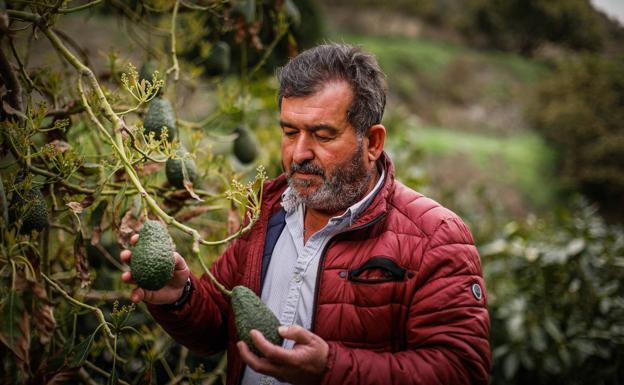 «La huelga del transporte está afectando hasta a los árboles que están en el campo»