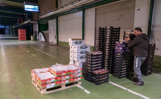 Mayoristas de MercaGranada tras dos semanas de huelga: «Nos hemos tenido que adaptar a las circunstancias»