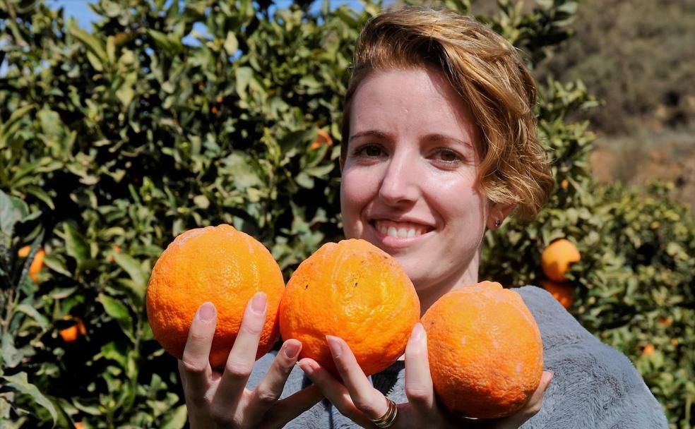 El Valle rinde culto a la agricultura sostenible y a la naranja y gastronomía local