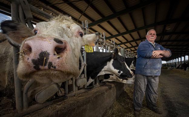 1,7 millones de ayudas a los ganaderos de Granada para paliar la ruina del sector lácteo