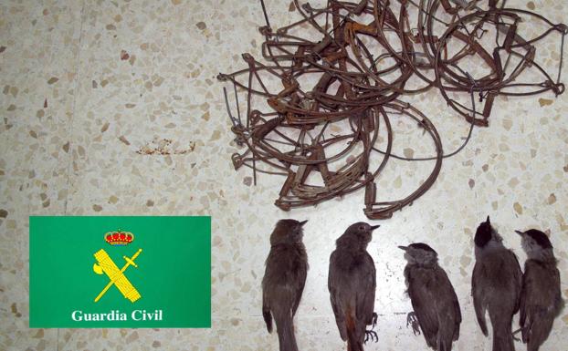 Multa de 5.300 euros por cazar pajarillos con costillas en Baños de la Encina