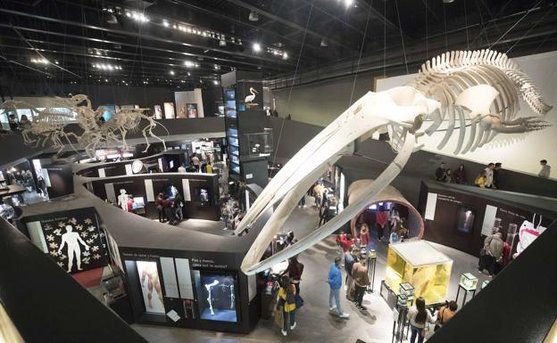 El Parque de las Ciencias se suma al Carné Joven del IAJ con un 21% de descuento en la entrada