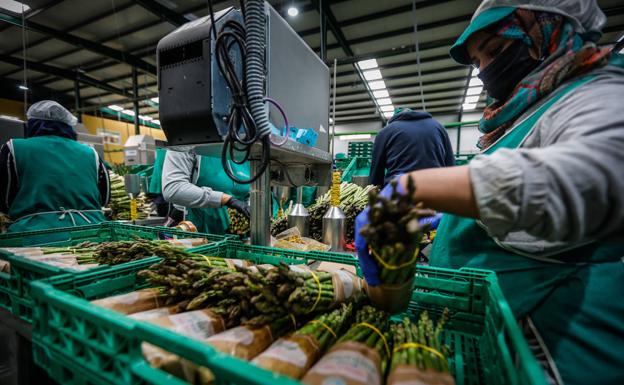 «El que ahora quiera trabajar en el campo puede, nos cuesta mucho encontrar mano de obra»