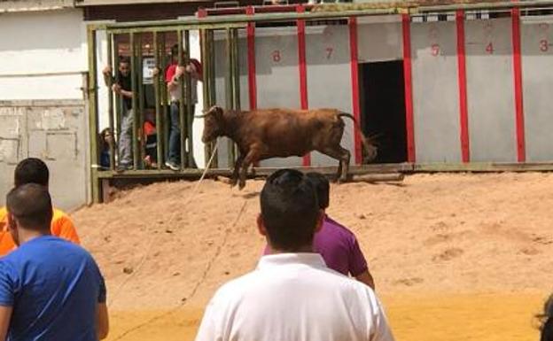 Pacma emprende acciones legales por una explosión en el 'toro ensogao' de Beas de Segura