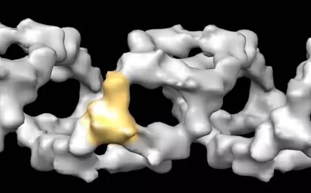 Detectado un brote de gripe en una clase de un colegio de Granada sin casos graves