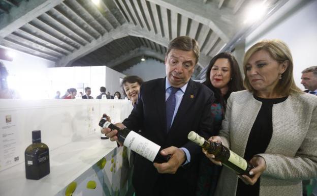 Planas valora que el olivar tradicional tendrá una ayuda acoplada en la nueva PAC