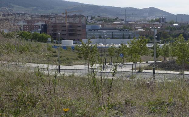 «El 12 de septiembre de 2022 se pondrá en marcha el grado de Medicina»