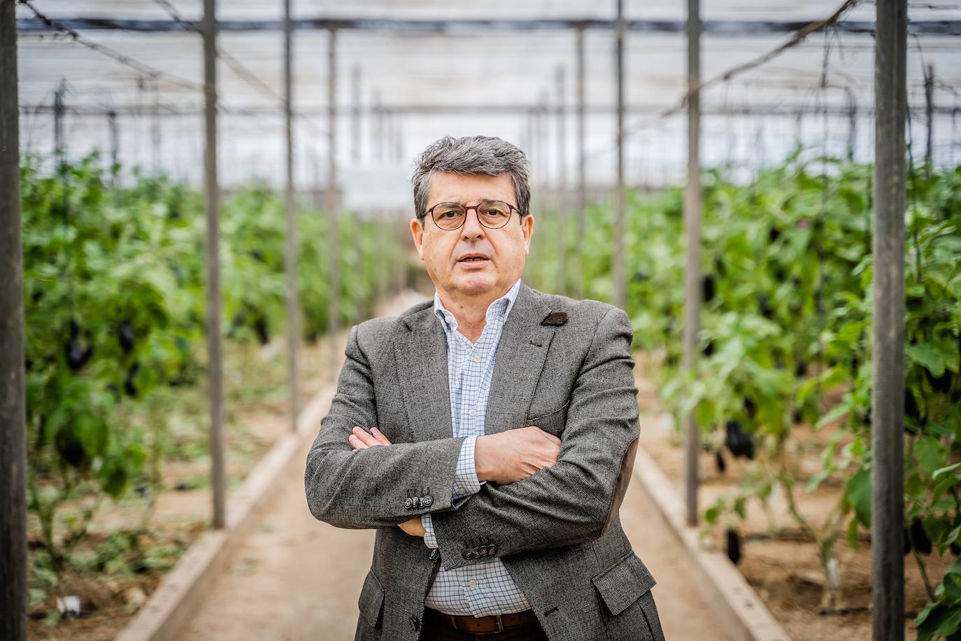 Matarí reclama en el Congreso una mayor defensa de la huerta de Almería