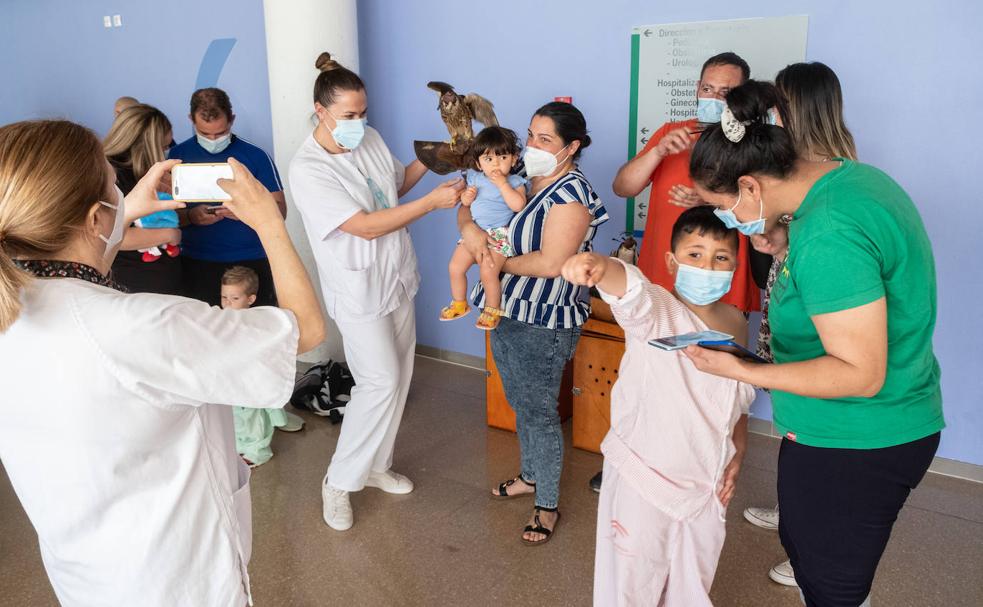 Un aeropuerto en el Clínico de Granada para los niños ingresados