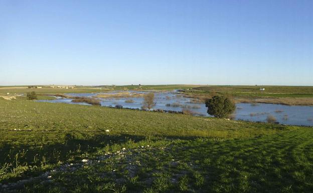 Agricultores valencianos rechazan vender agua del Júcar al Almanzora