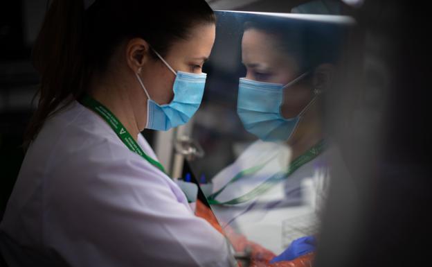 Jaén no reduce las camas covid y mantiene la ocupación más alta desde marzo