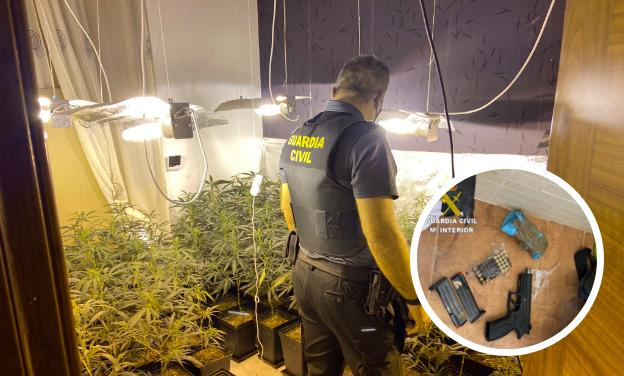 Caen cinco centros de producción de marihuana en Láchar