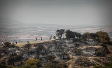 El fuego en San Miguel ha arrasado 172 hectáreas