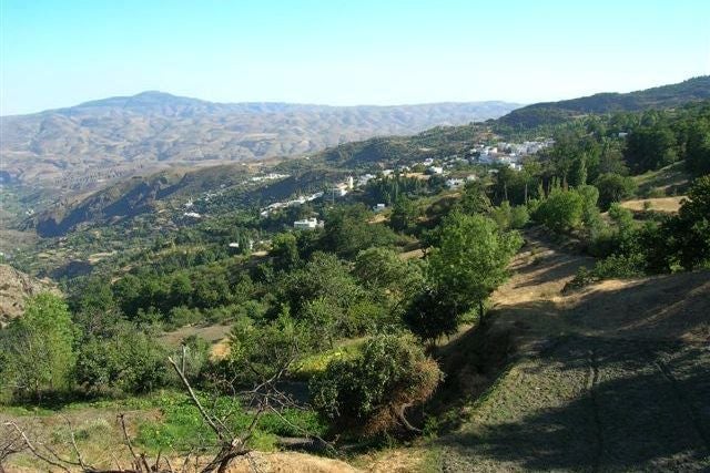 Una ruta por los pinares de la Alpujarra a las faldas de Sierra Nevada