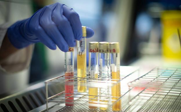 Estas tres variantes de Ómicron escapan a la inmunidad por infección previa