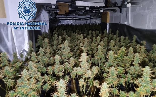 Triple operación antidroga en el Zaidín y Jun con cinco detenidos