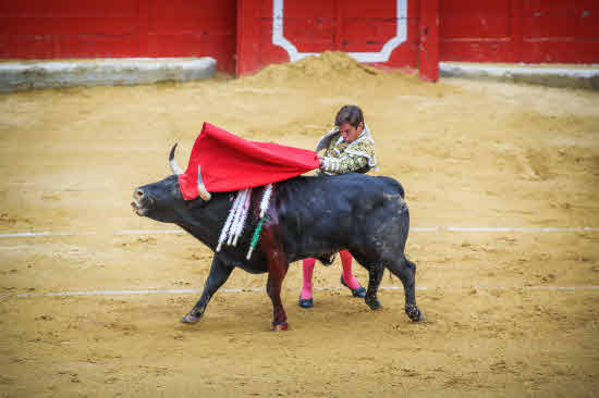 Semana intensa de eventos taurinos con ocasión de la feria