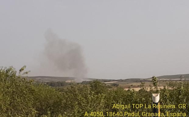 Extinguido el incendio forestal en el término de Alhendín