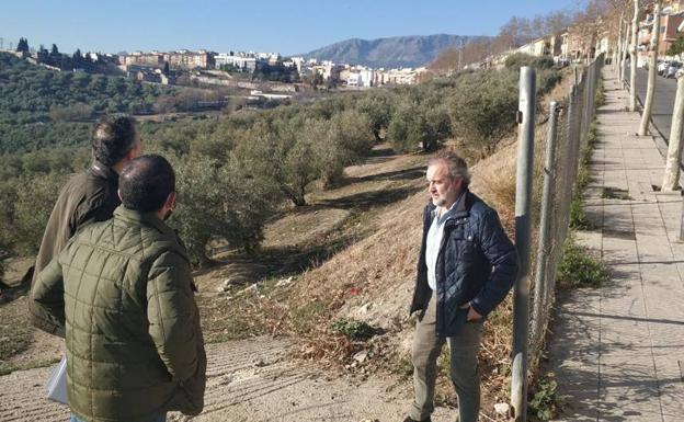 A concurso las obras para la nueva vía peatonal y ciclista Loma del Royo-UJA