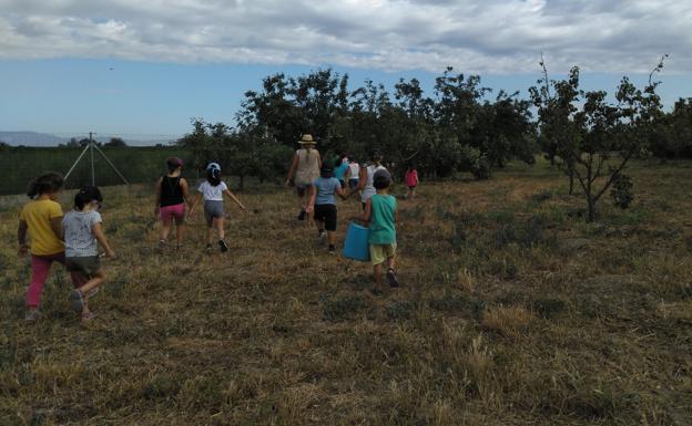14 campamentos de verano en Granada cargados de actividades y diversión
