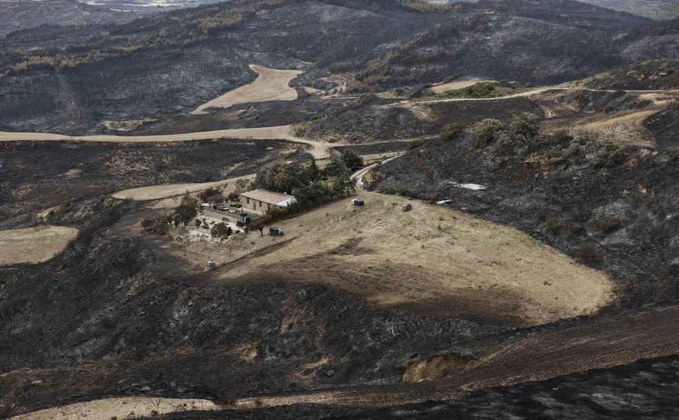 Consecuencias de los incendios forestales: «Sale más barato prevenir que extinguir»