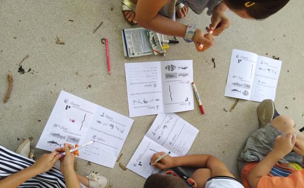 Talleres gratuitos en la Escuela Ambiental de Verano