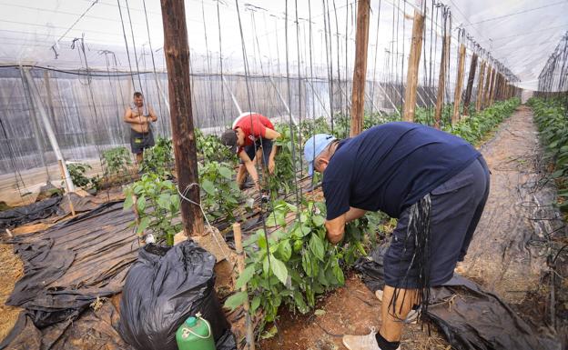 Almería registra 49.257 contratos indefinidos en lo que va de año